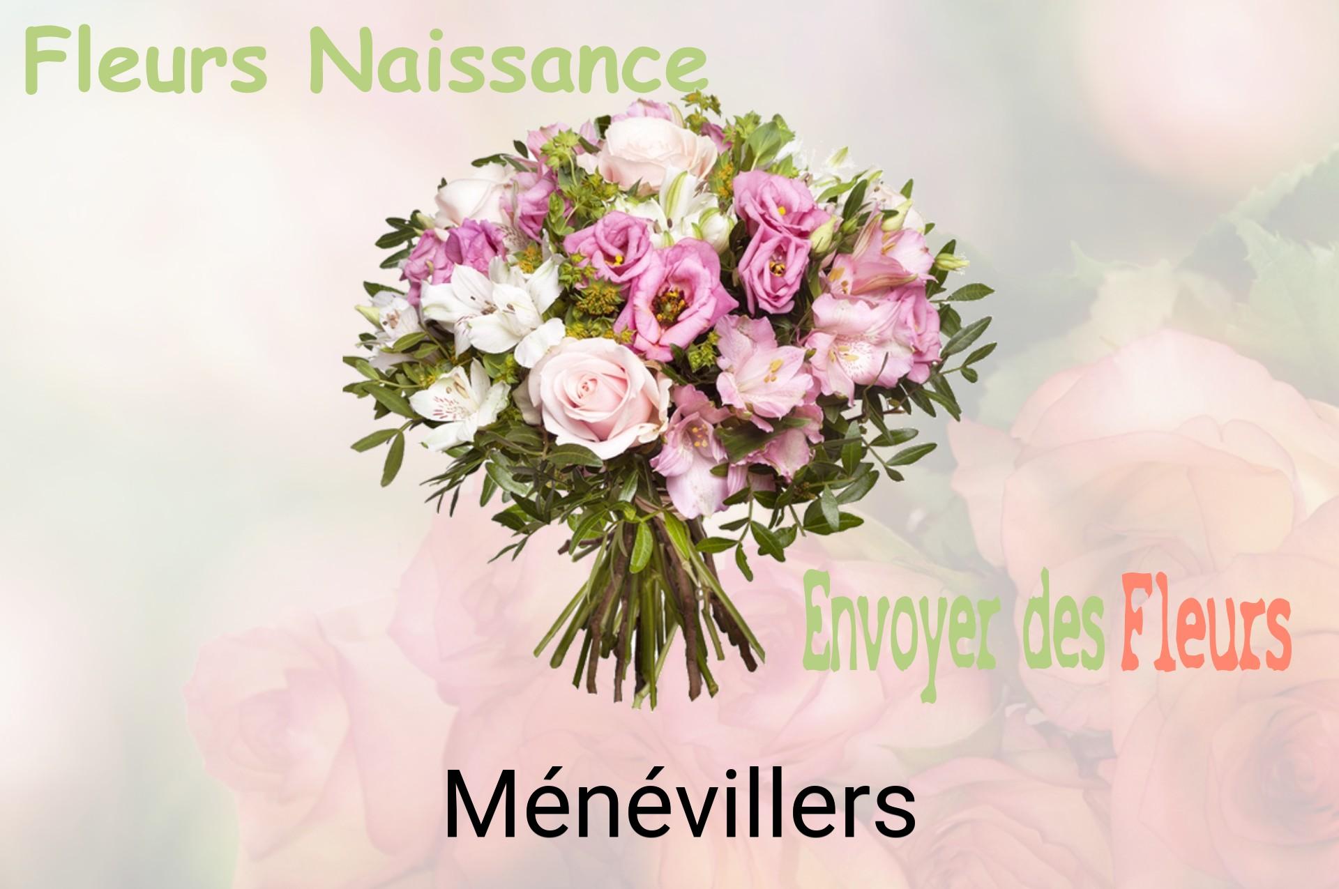 Bouquet de fleurs de naissance livré à Ménévillers